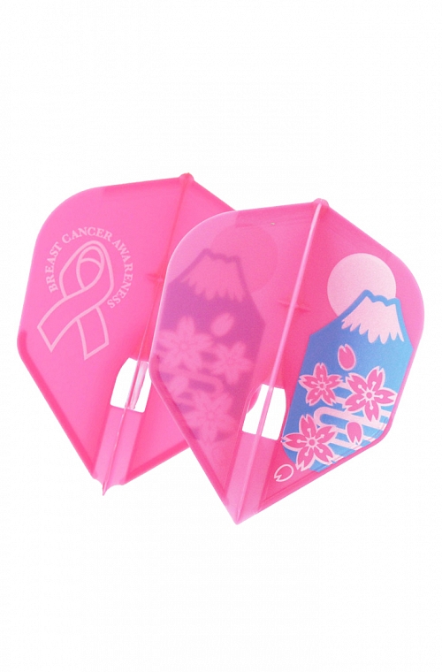 Champagne Shape Stacy Bromberg Breast Cancer Flights