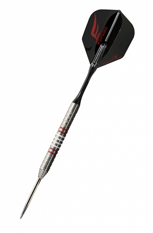 Cosmo Darts Discovery Label David Cameron Steel Tip darts