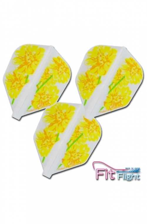 Fit Flight Shape Nami Iwasaki
